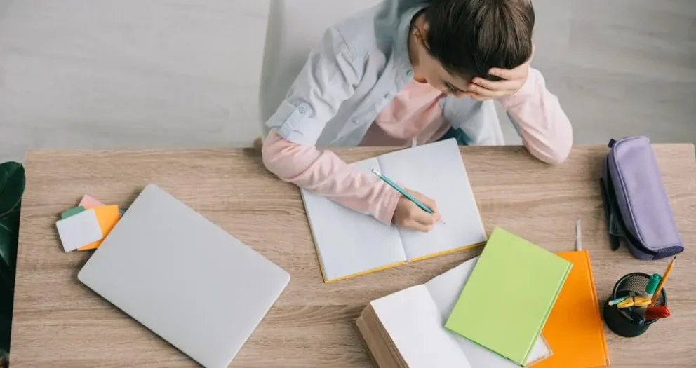 Makam Takımları Ofis ve İşyerlerinin Elit Mobilyaları