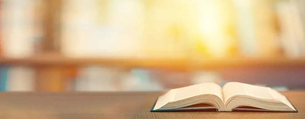 Reggio Emilia Eğitim Felsefesi Yaklaşımı Nedir?